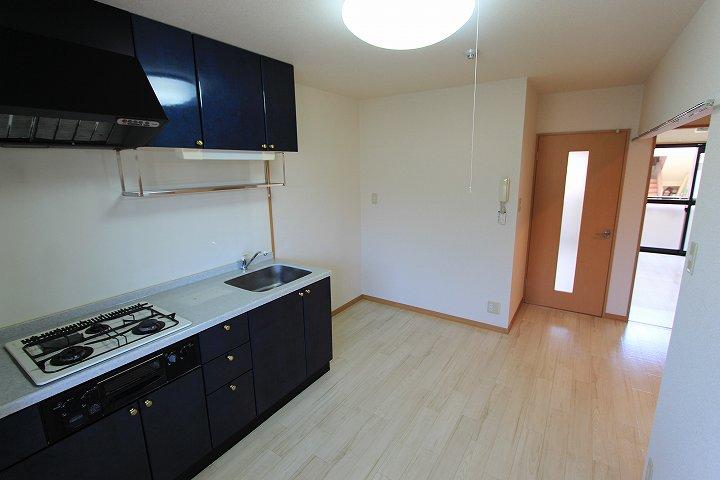 ﾀﾞｲﾆﾝｸﾞｷｯﾁﾝ