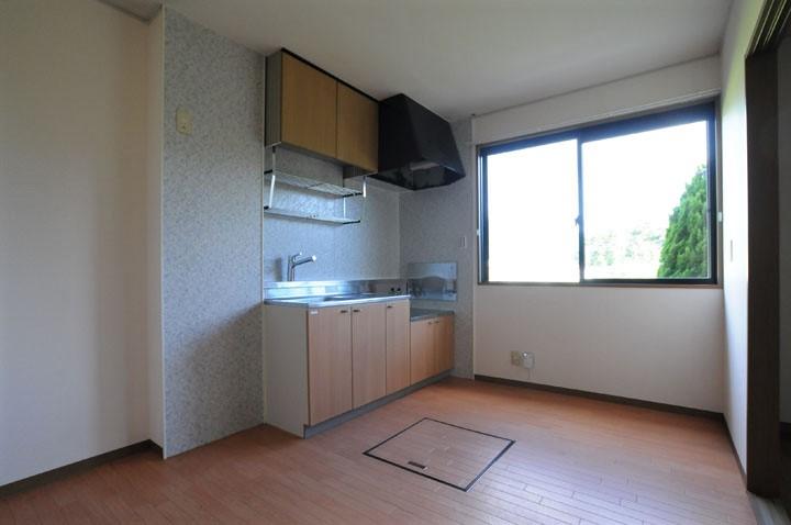 ﾀﾞｲﾆﾝｸﾞｷｯﾁﾝ