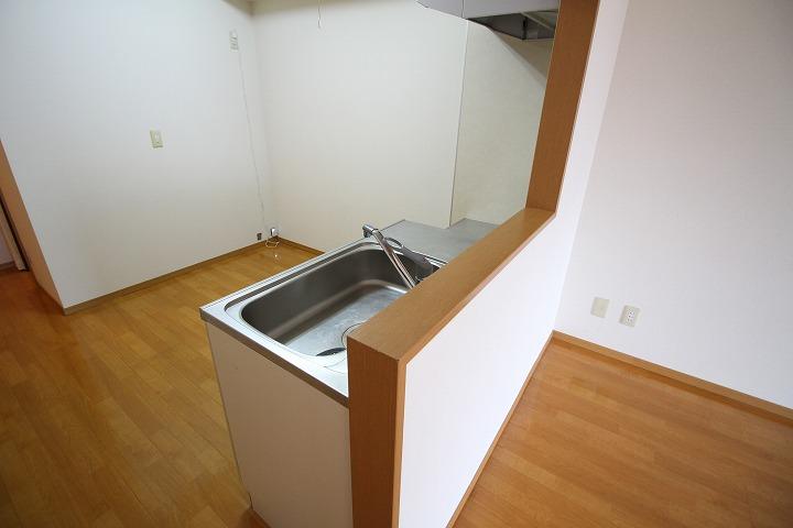 ﾘﾋﾞﾝｸﾞﾀﾞｲﾆﾝｸﾞｷｯﾁﾝ