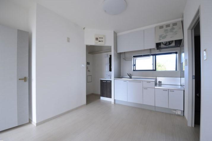 ﾀﾞｲﾆﾝｸﾞｷｯﾁﾝ