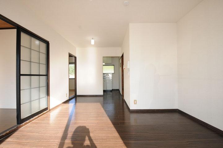 ﾘﾋﾞﾝｸﾞﾀﾞｲﾆﾝｸﾞｷｯﾁﾝ