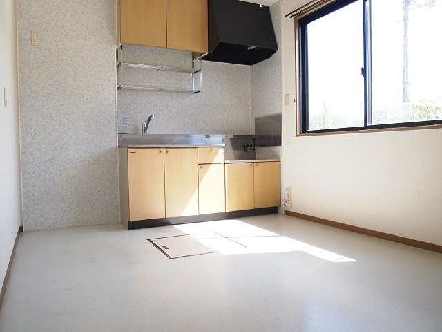 ﾀﾞｲﾆﾝｸﾞｷｯﾁﾝ