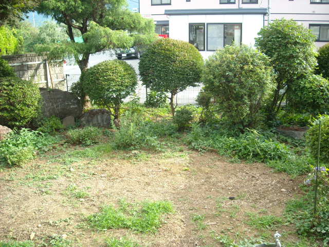 中庭