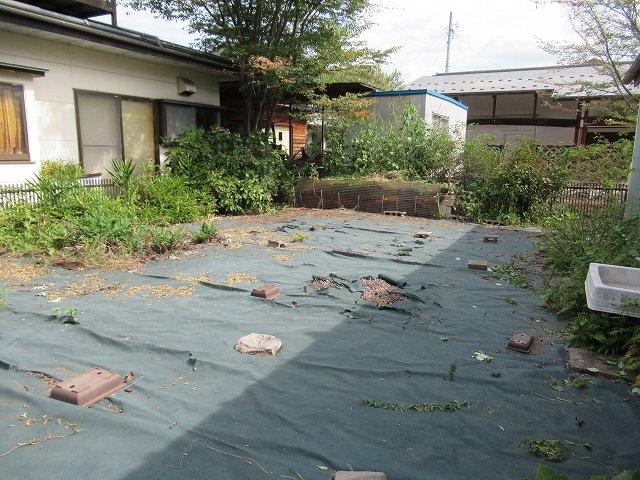 現地写真