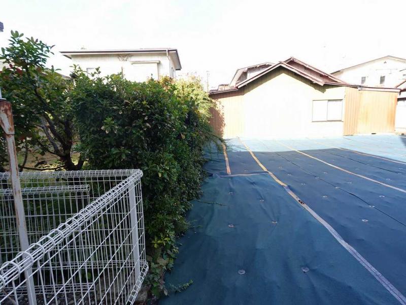 現地写真