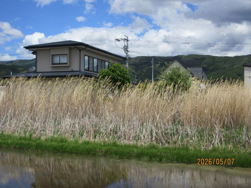 現地写真