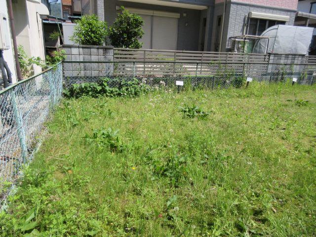 現地写真
