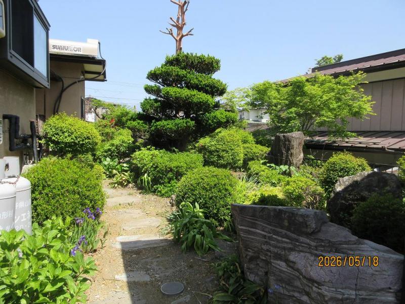 現地写真